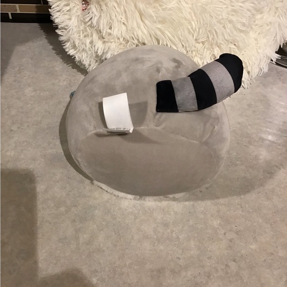 SQUISHMALLOW GALIC RATCOON S8 # 1350 b SQUISHDATE 11.16.2021 - Picture 5 of 6